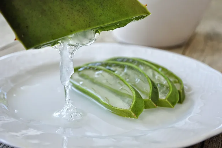 aloe vera nežiaduce účinky