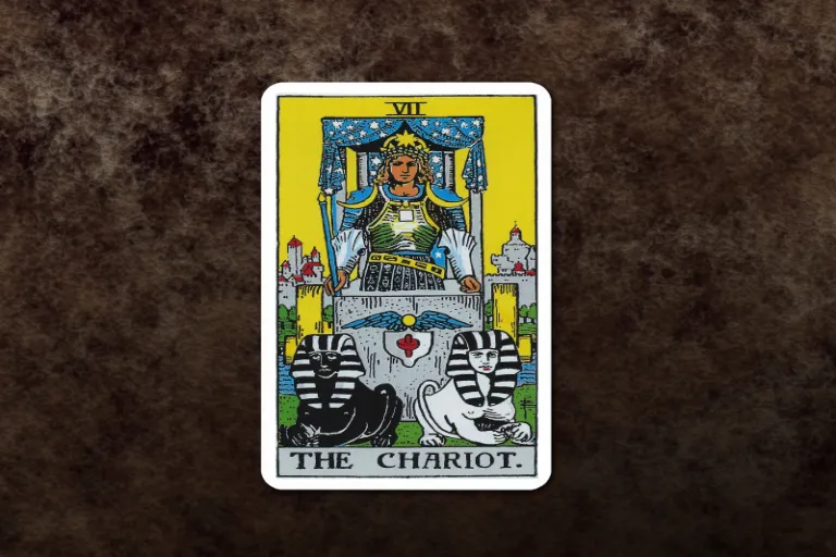 tarot voz